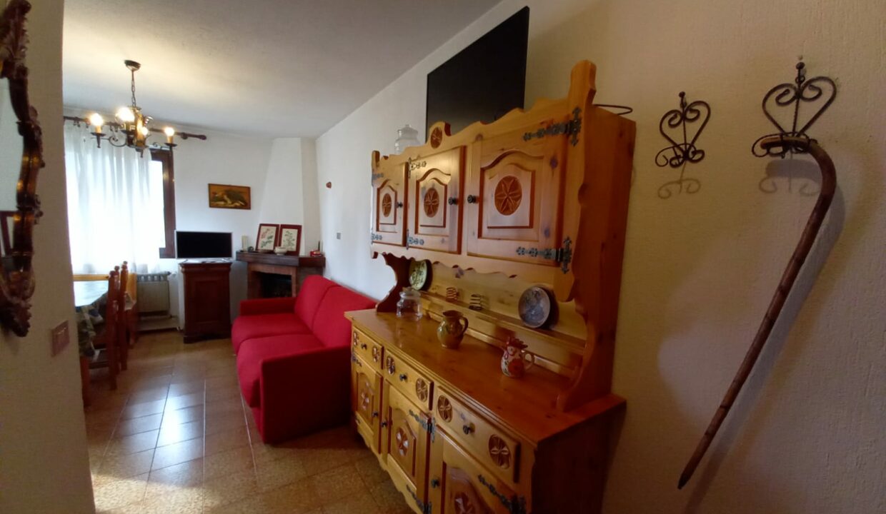 WhatsApp Image 2021-02-22 at 11.21.00-5