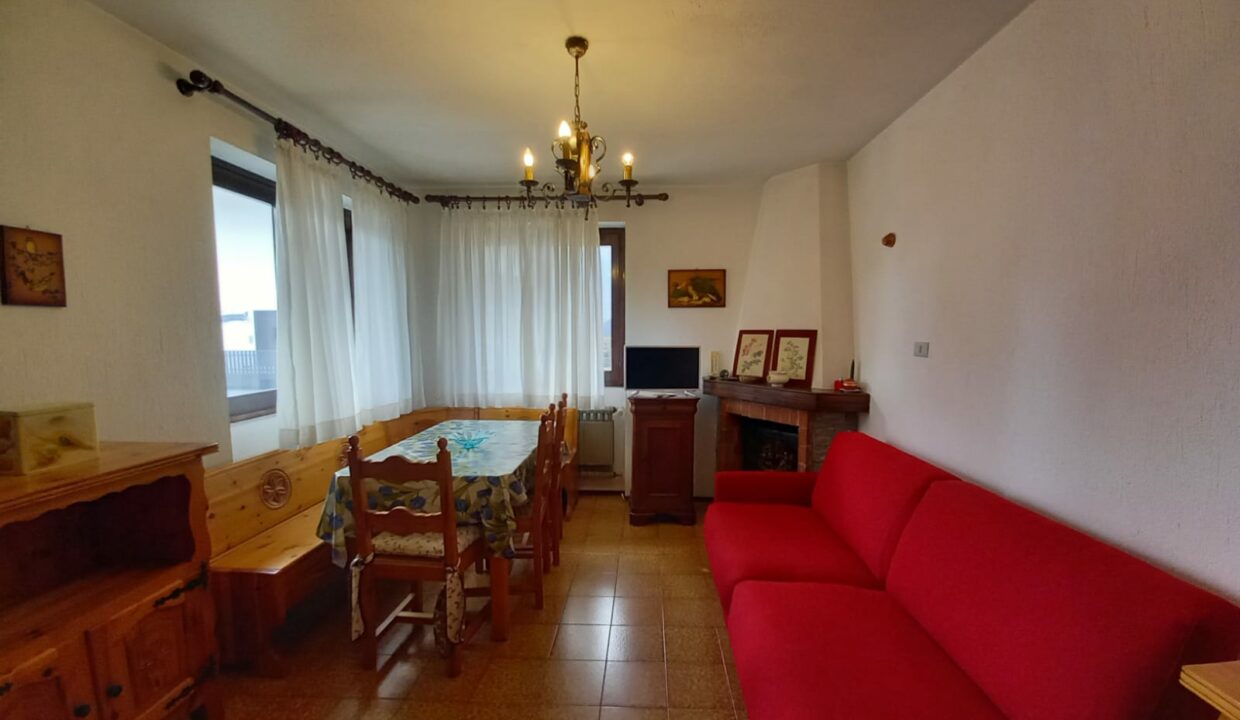 WhatsApp Image 2021-02-22 at 11.21.00-6