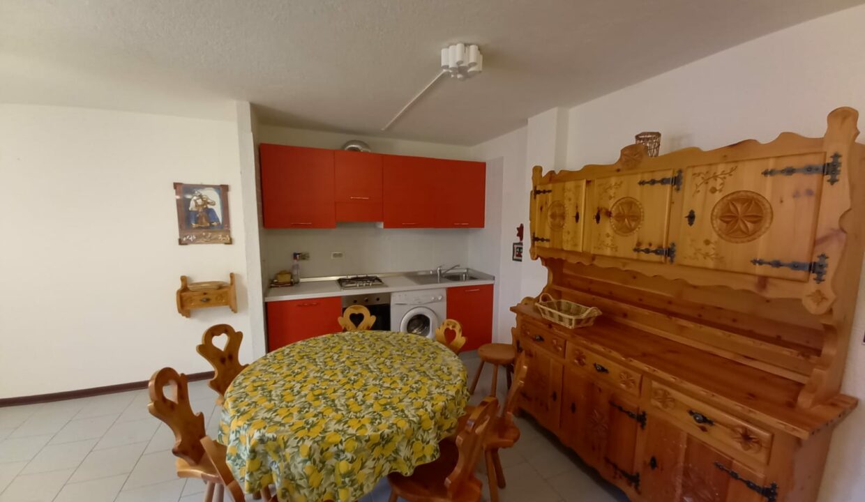 WhatsApp Image 2021-02-22 at 11.21.35-3