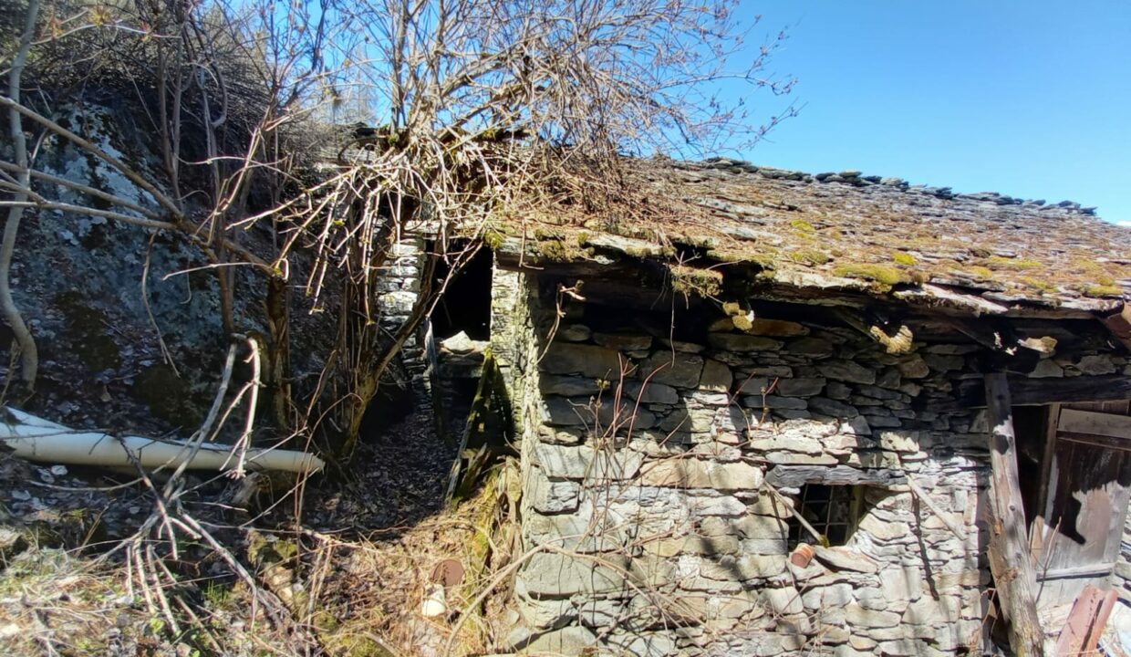 1be93be8-01c2-456d-9446-0e4b2b3fe288