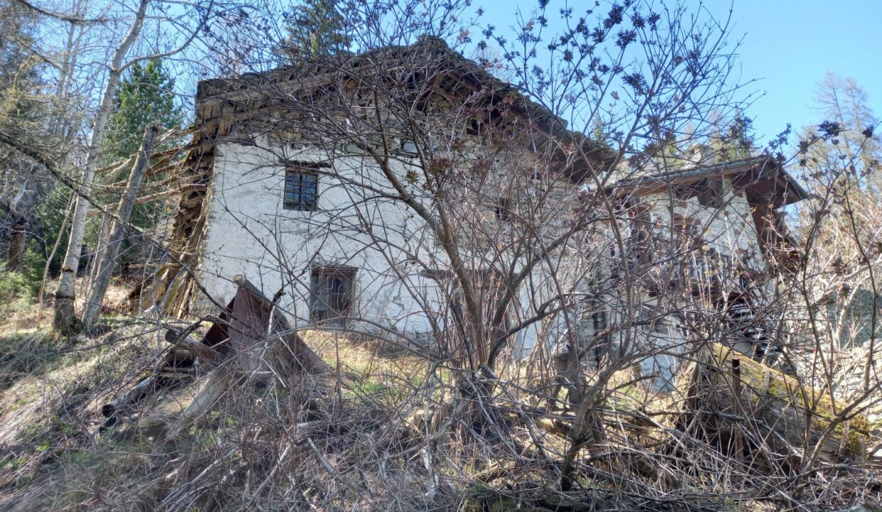 354aed64-e1d2-4a3a-a431-38e1bf000ea9