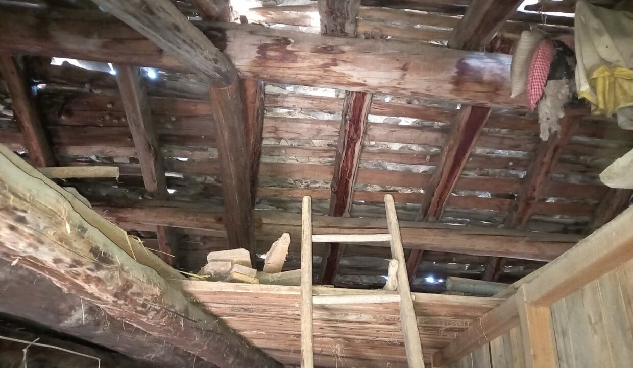 71e6b0e0-ab1e-4fc7-9167-dc71ed309c90