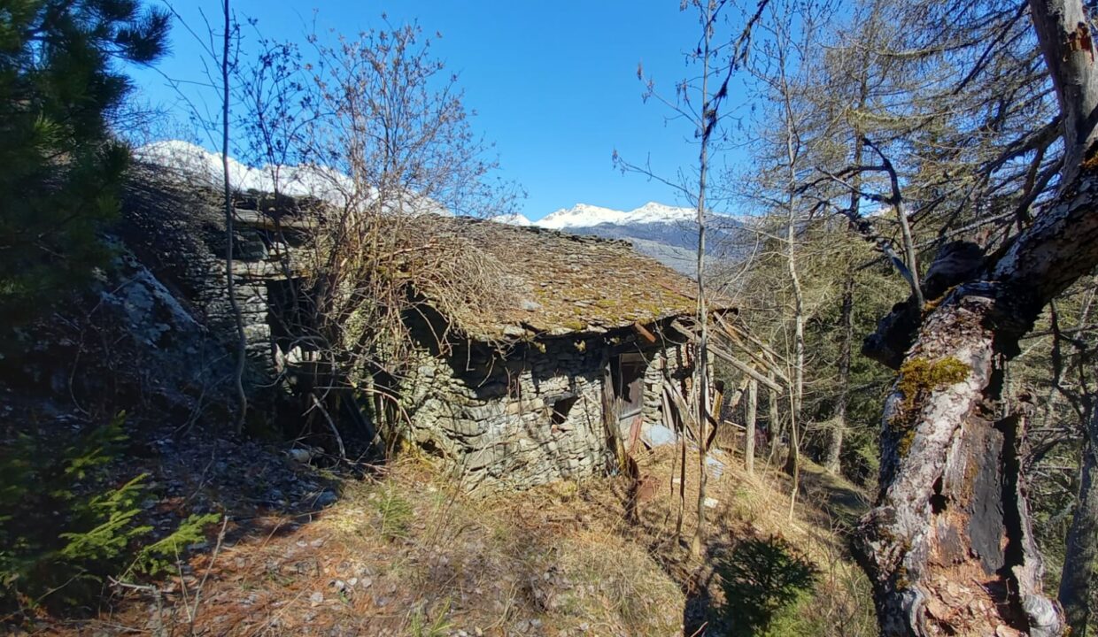 79a0e1d5-06fd-4787-9f75-2499a763a931