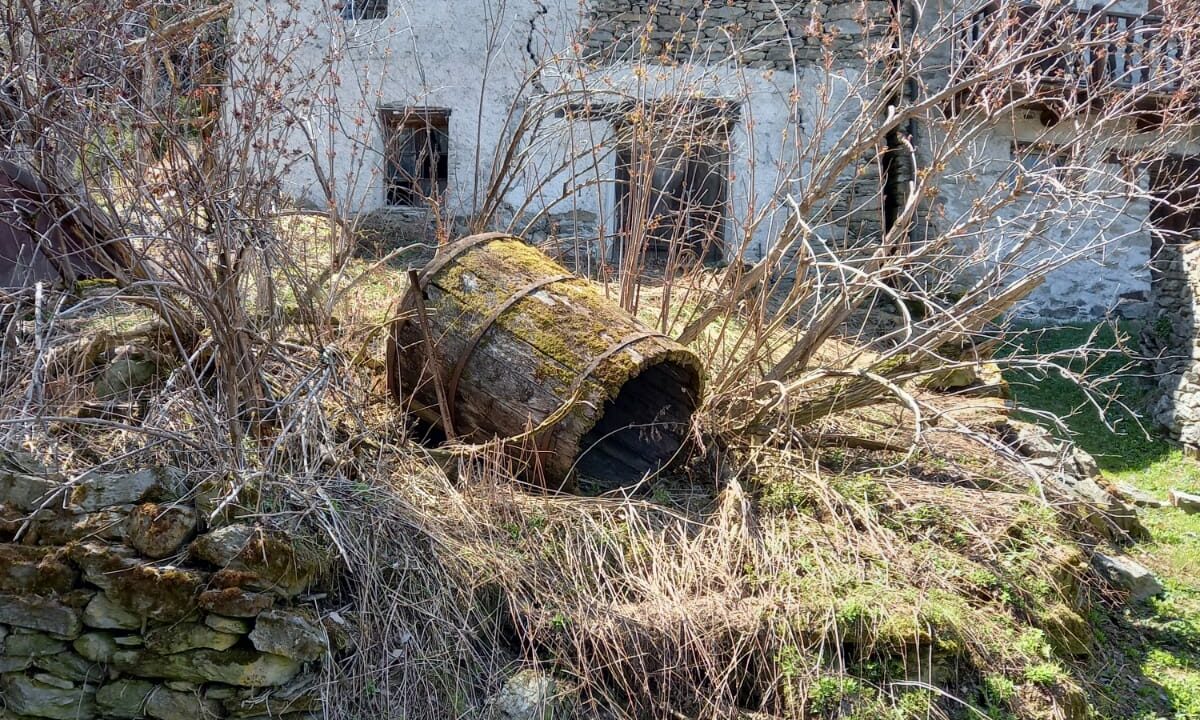 8ef09e8e-32d6-4398-aba8-24c96eb1dfca