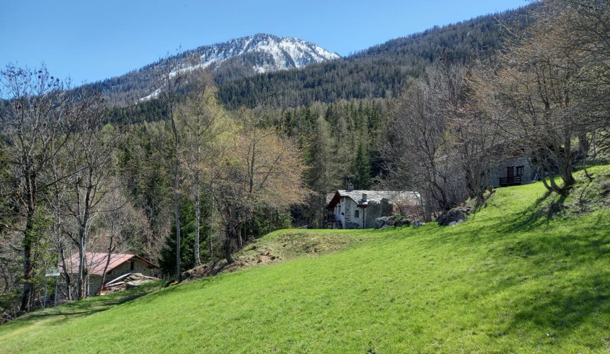 95cfcd5d-be92-404b-a204-8bf9b832b9c3