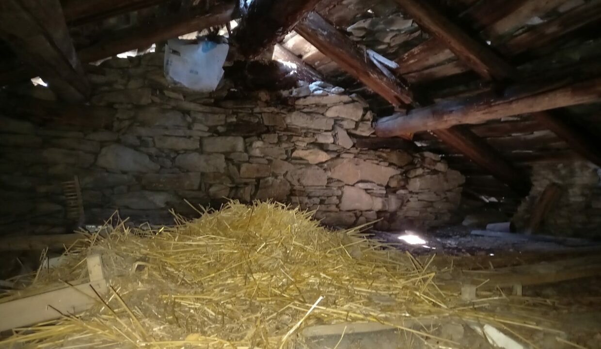 960491d7-f4aa-483c-90c6-2d199c13658e