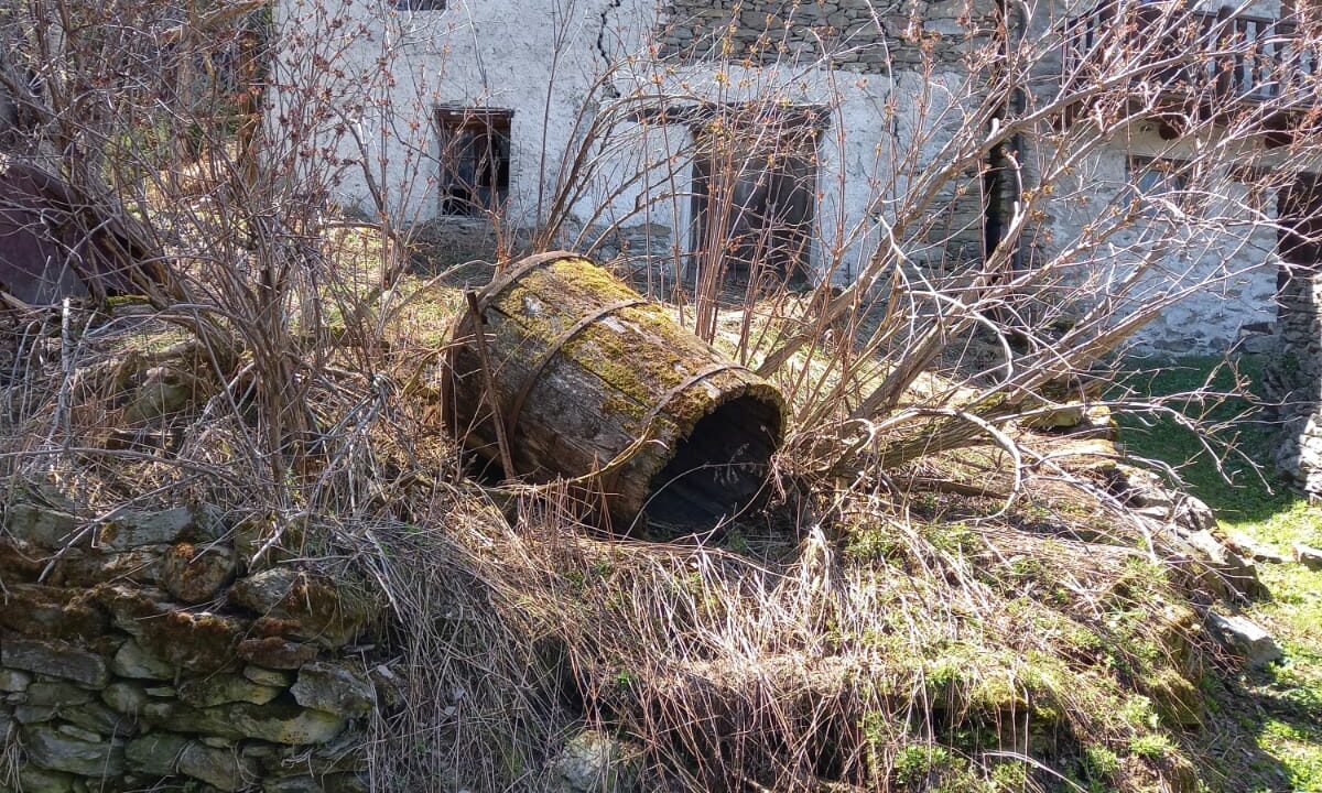 ccc648ed-7f57-4f53-b831-901b4ebe595e