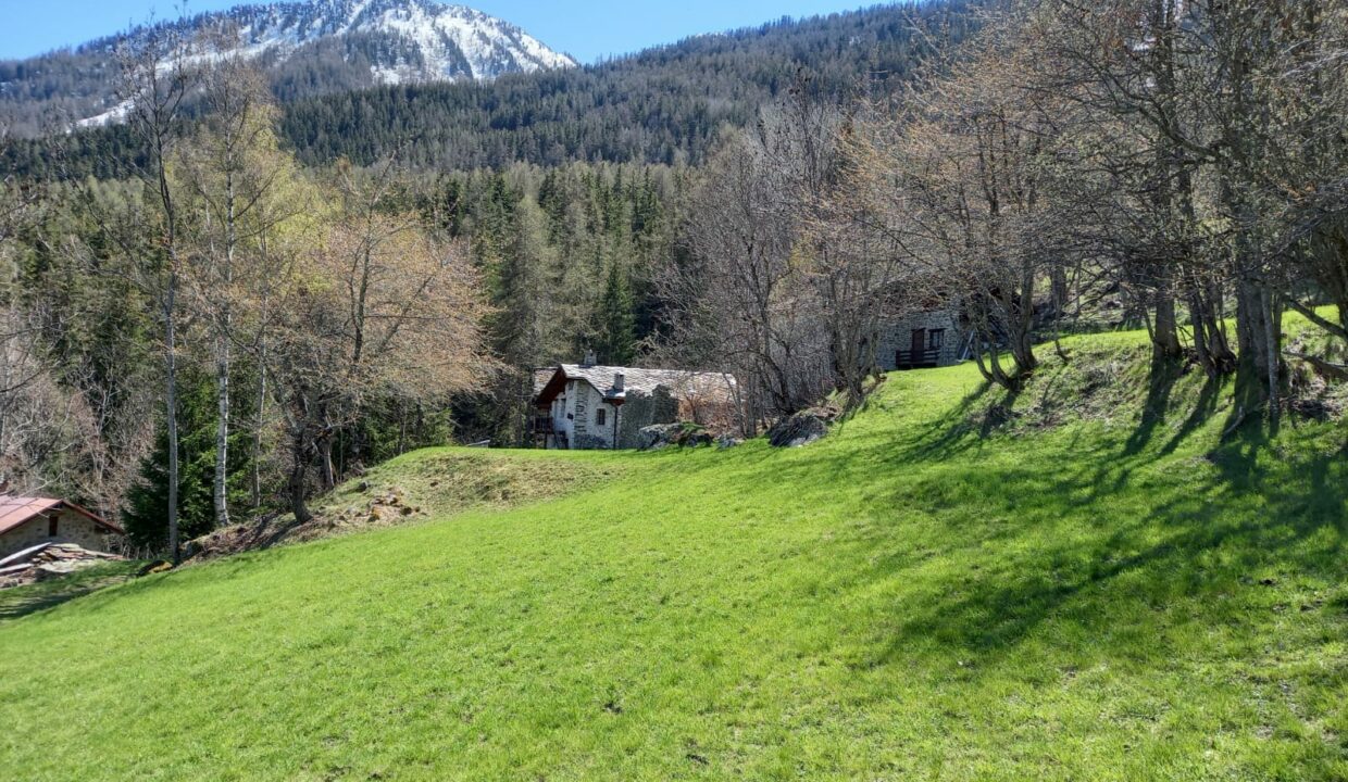 ec3a24c8-1a93-4116-9c9b-3186c5b0736a