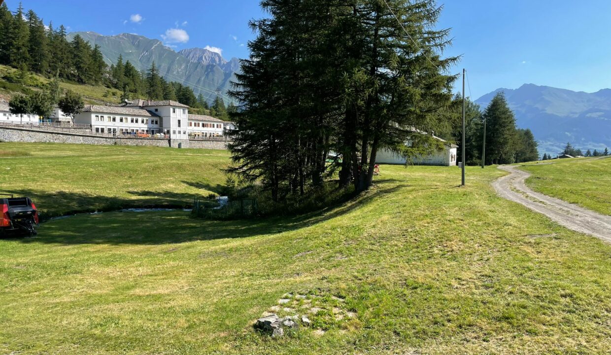 a8d79d22-e425-4d41-8275-43430691d1ed