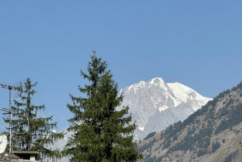 IMG_0785