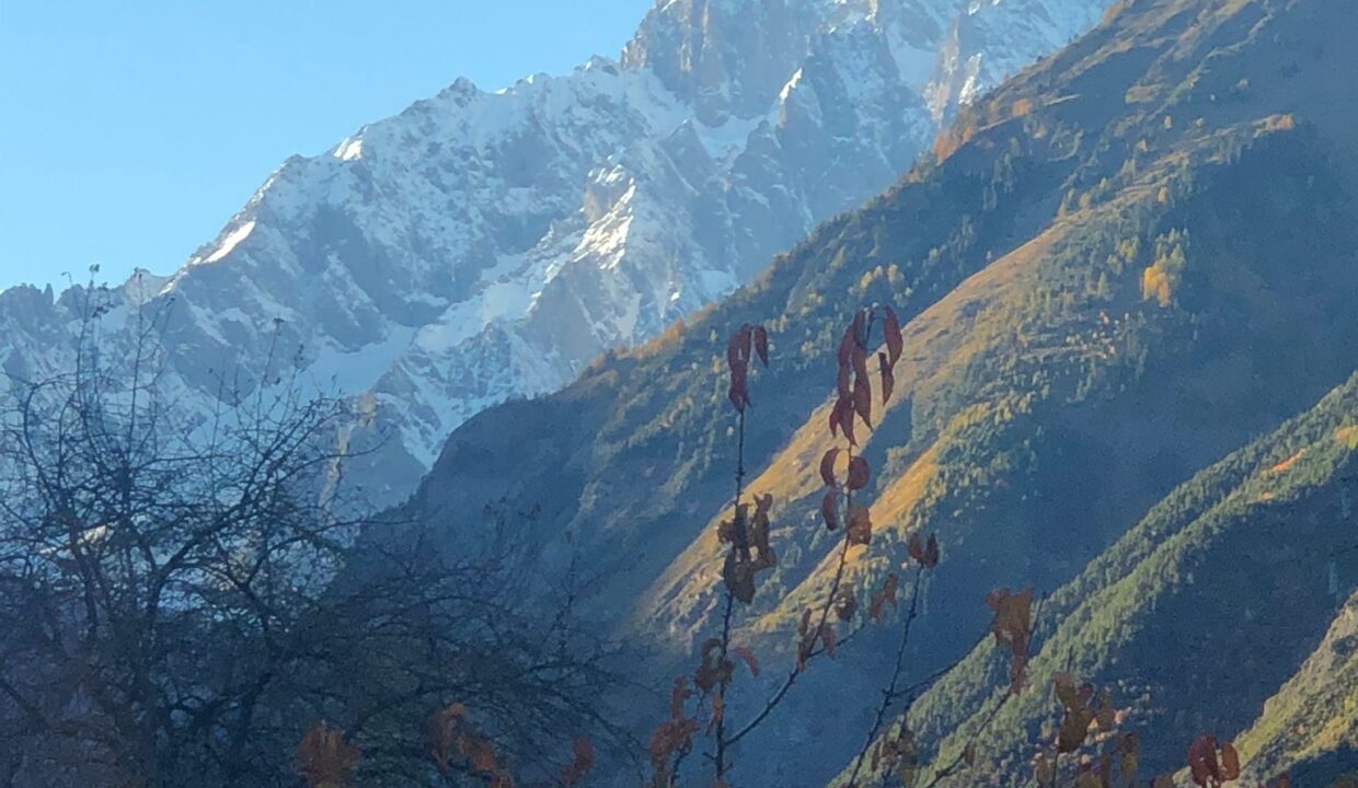 08f4e0d0-ccb2-448f-b3a3-cb0976f8c9d5