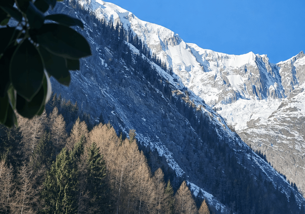 ChatGPT Image 17 gen 2026, 11_52_31