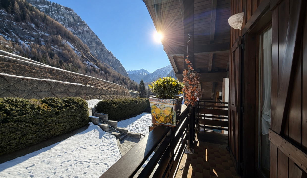 Image 31 gen 2026, 16_34_26