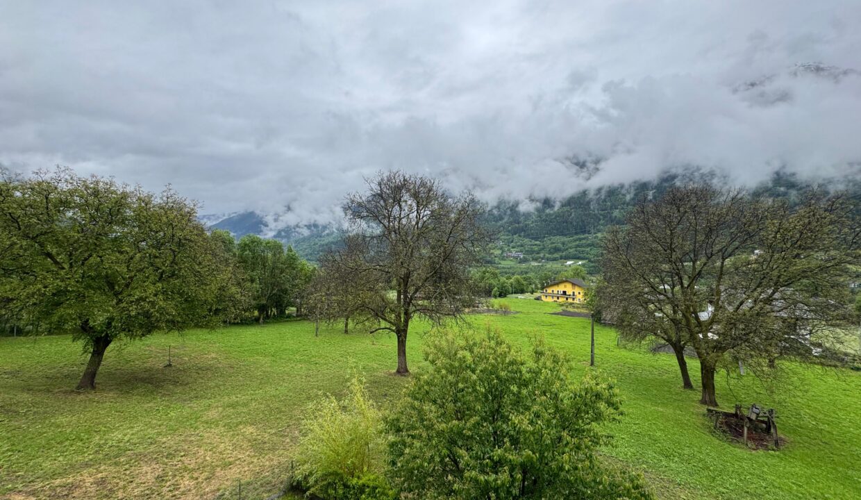 PHOTO-2025-05-21-12-17-14 15